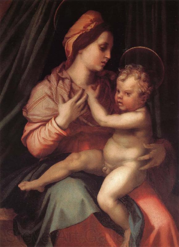 Andrea del Sarto Virgin Mary and her son Germany oil painting art
